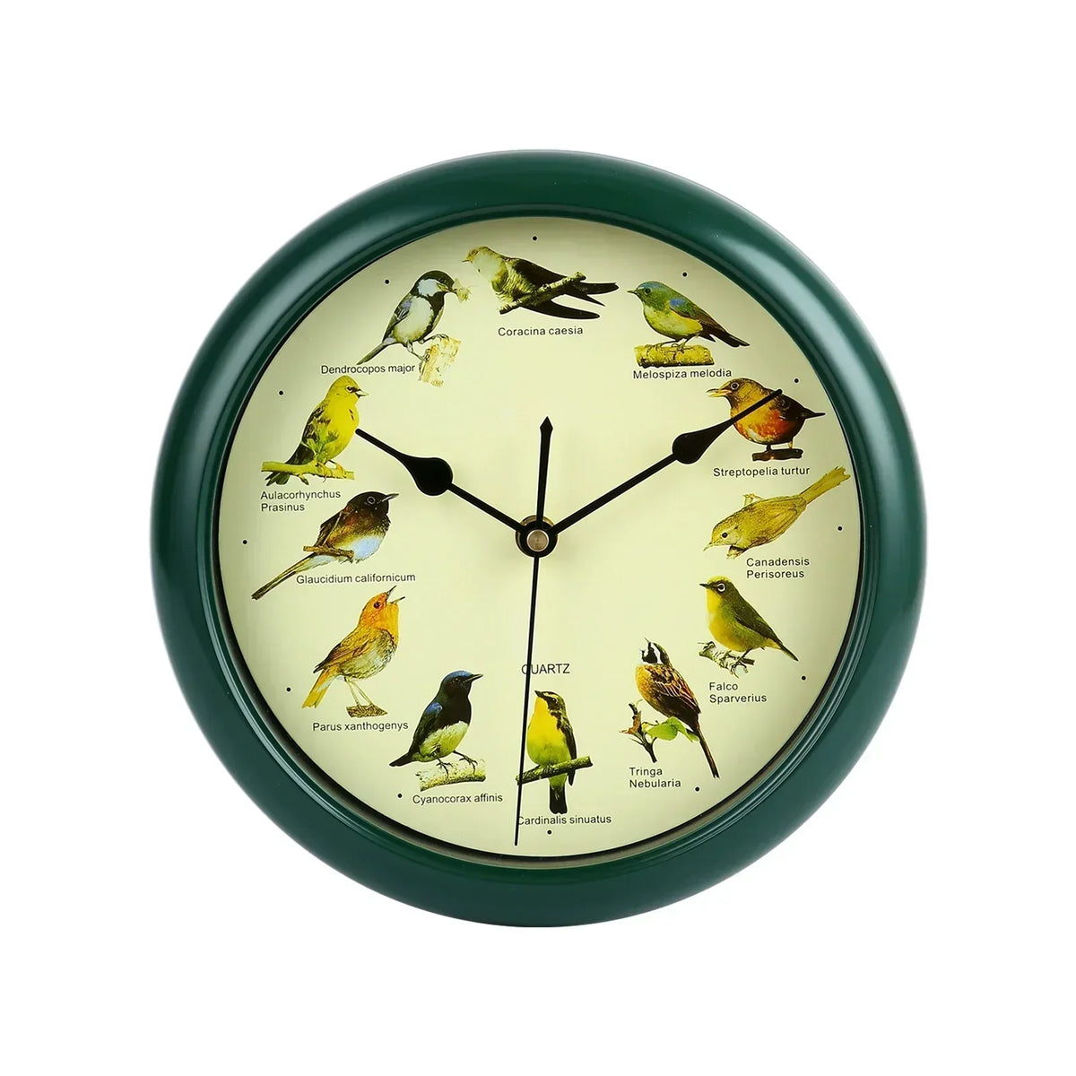 10 Inch Bird Sound Wall Clock with Hourly Birdsong Silent Movement Home Decor