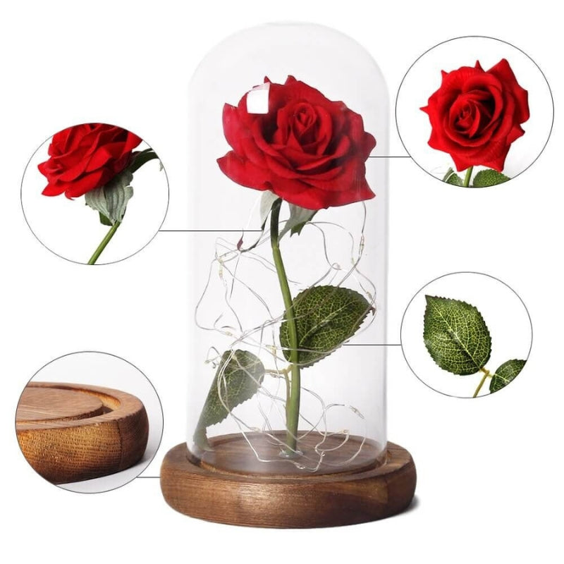 LED Rose Table Lamp Glass Dome Dual Power Decorative Light
