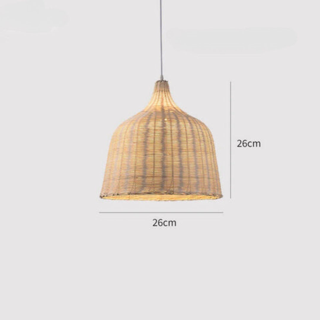 Modern LED Pendant Light Hanging Ceiling Lamp for Indoor Outdoor Home Decor Lighting
