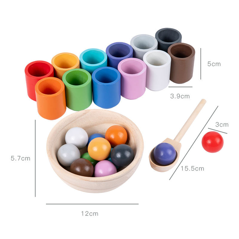 Shape Sorting Learning Game Motor Skills Development Toy