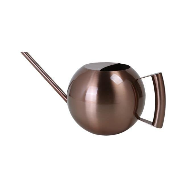 Slim Metal Watering Can with Precision Spout for Indoor Plants