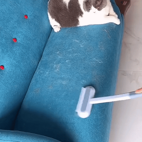 3-in-1 Pet Hair Remover for Carpets and Rugs – Reusable Cleaning Tool