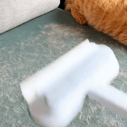 3-in-1 Pet Hair Remover for Carpets and Rugs – Reusable Cleaning Tool