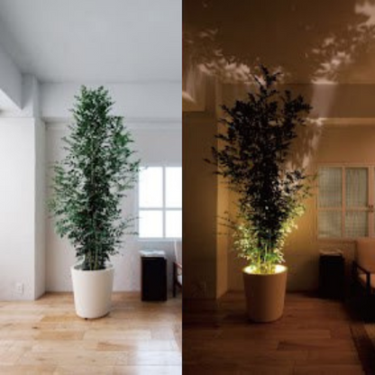 Adjustable LED Spotlight Wall Light with Remote Control 300 Degree Rotating Accent Light