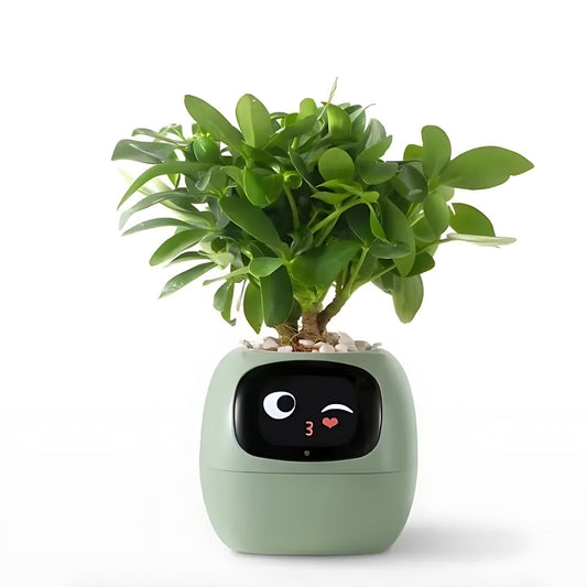 Automatic Smart Plant Pot – Self-Watering Smart Flower Pot with App Control