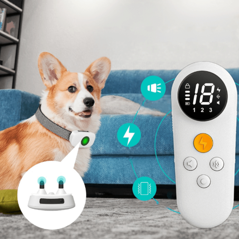 BarkGuardian Humane Anti Bark Device for Effective Dog Bark Control