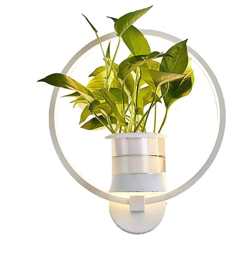 Botanical Wall Light with Planter – Modern Wall Lamp for Stylish Indoor Lighting
