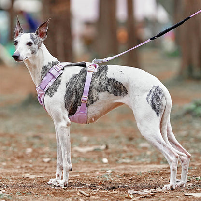 Breathable No Pull Dog Harness with Waterproof Multi Function Leash Adjustable