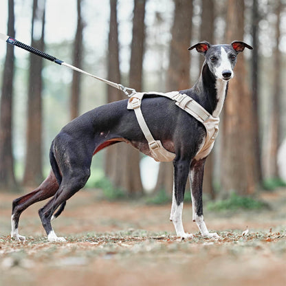 Breathable No Pull Dog Harness with Waterproof Multi Function Leash Adjustable