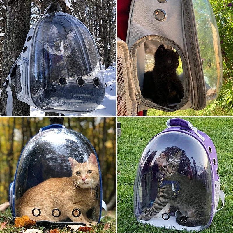 Breathable Pet Backpack Carrier Clear View Window Padded Shoulder Straps Travel Bag