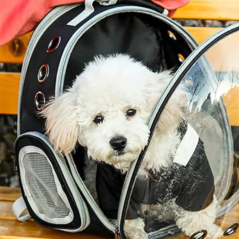 Breathable Pet Backpack Carrier Clear View Window Padded Shoulder Straps Travel Bag