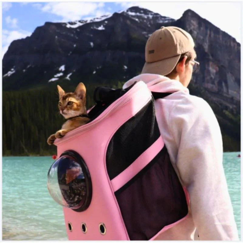 Cat Backpack Large Capacity Carrier Transparent Bubble Dome Ventilated Panels Travel Pet Bag