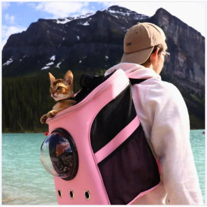 Cat Backpack Large Capacity Carrier Transparent Bubble Dome Ventilated Panels Travel Pet Bag