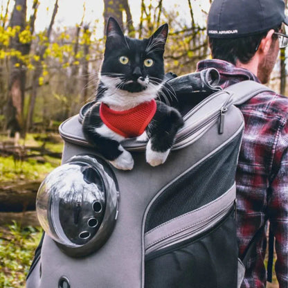 Cat Backpack Large Capacity Carrier Transparent Bubble Dome Ventilated Panels Travel Pet Bag