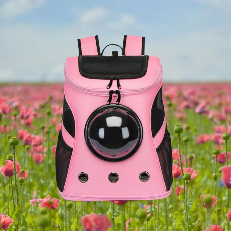 Cat Backpack Large Capacity Carrier Transparent Bubble Dome Ventilated Panels Travel Pet Bag