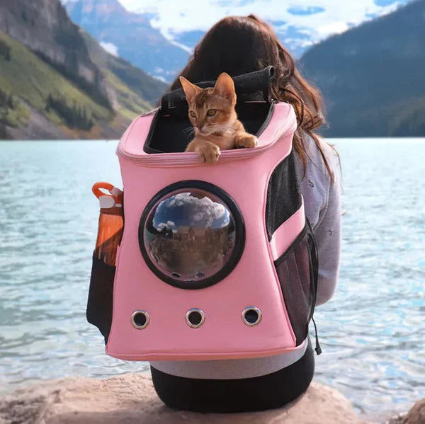 Cat Backpack Large Capacity Carrier Transparent Bubble Dome Ventilated Panels Travel Pet Bag