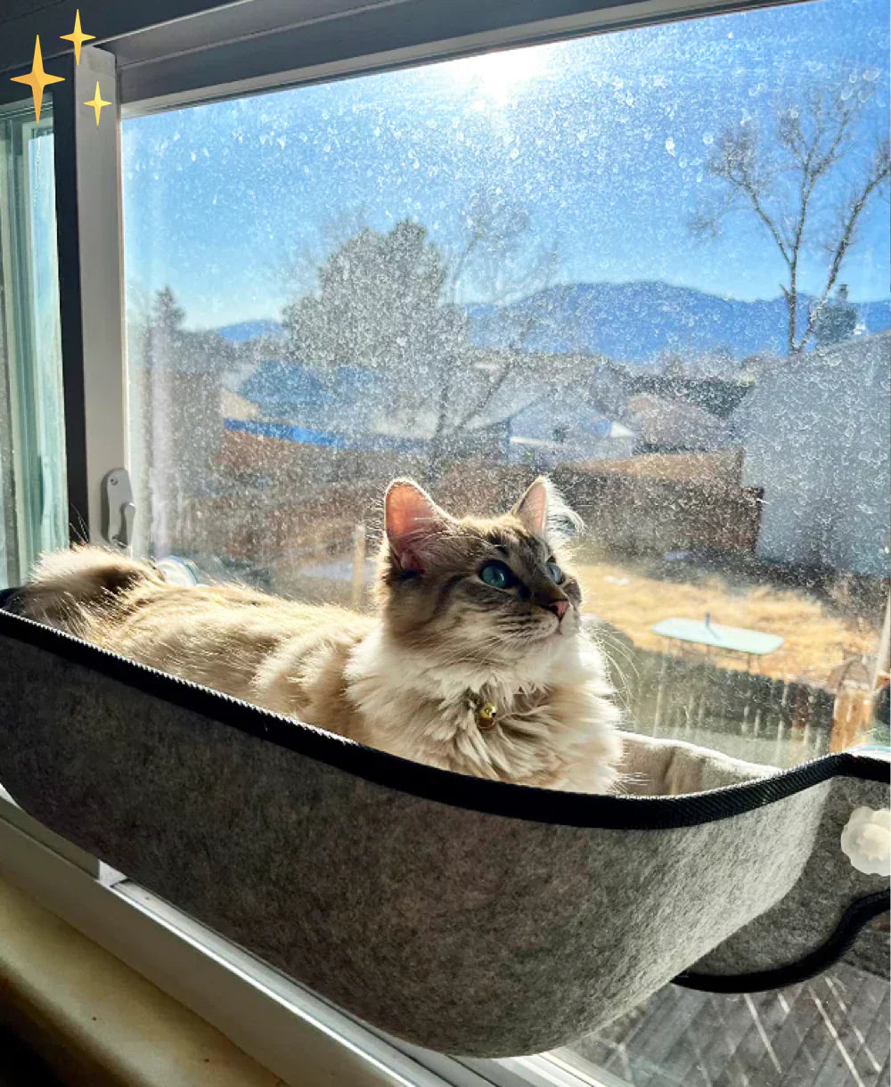 Cat Window Hammock Bed with Strong Suction Cups Elevated Window Perch for Indoor Cats Comfortable Hanging Cat Bed
