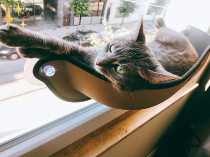 Cat Window Hammock Bed with Strong Suction Cups Elevated Window Perch for Indoor Cats Comfortable Hanging Cat Bed