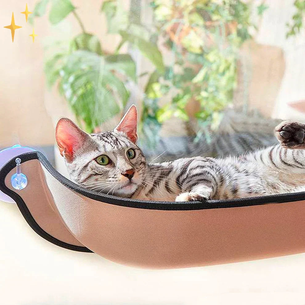 Cat Window Hammock Bed with Strong Suction Cups Elevated Window Perch for Indoor Cats Comfortable Hanging Cat Bed