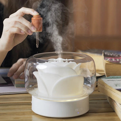 Compact Air Humidifier Diffuser Modern Mist Ambient Light
