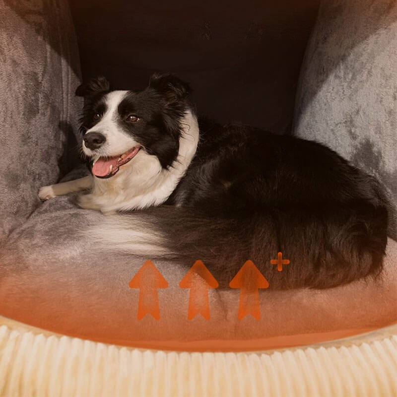 Detachable Dog Tent Bed Enclosed Design Washable Foldable Pet House Indoor Portable