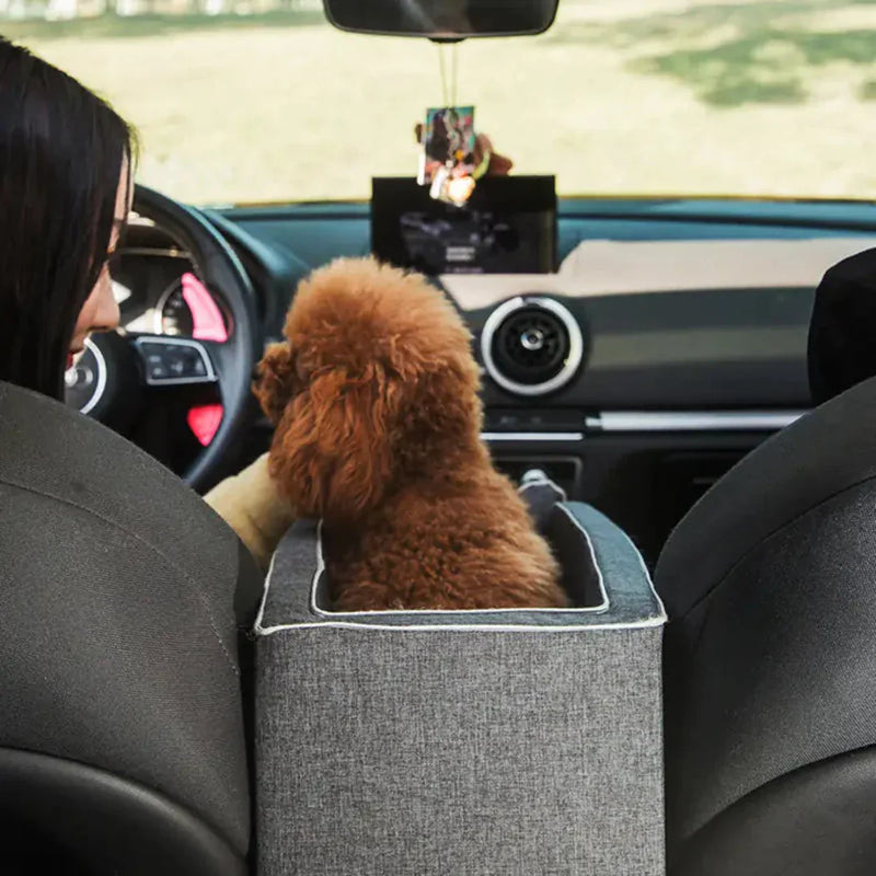 Elevated Pet Car Seat with Safety Straps Small Dog Booster Travel Seat Secure Padded Auto Seat for Cars