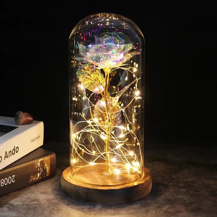 Eternal Rose Flower Under Glass Dome Romantic Love Gift Decor