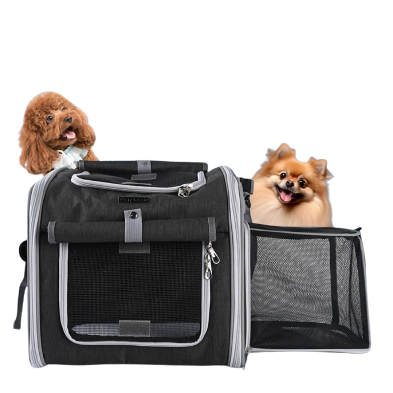 Expandable Pet Bike Basket with Side Windows Quick Release Mount