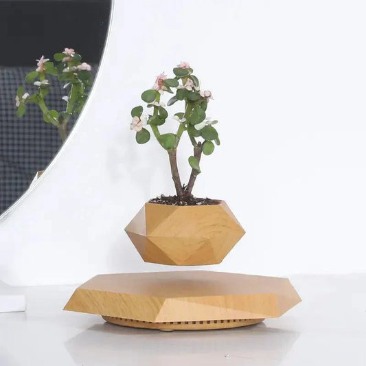 Floating Magnetic Plant Pot 360 Degree Levitating Planter for Indoor Decor