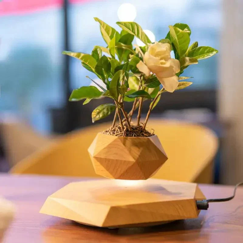 Floating Magnetic Plant Pot 360 Degree Levitating Planter for Indoor Decor