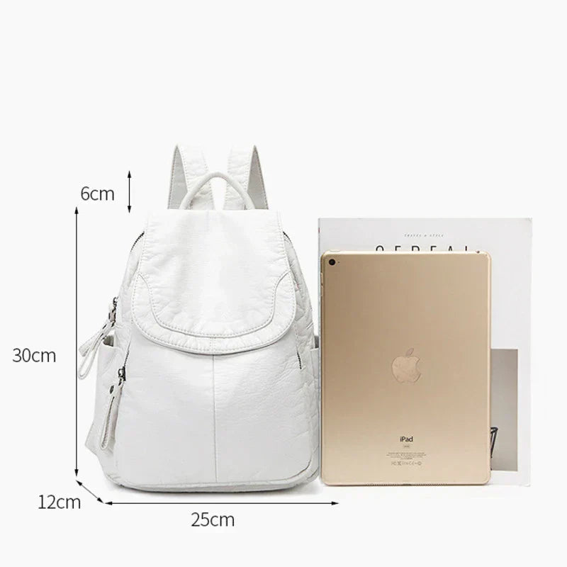 Large Capacity Lightweight Backpack with Adjustable Shoulder Straps Travel School Backpack