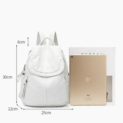 Large Capacity Lightweight Backpack with Adjustable Shoulder Straps Travel School Backpack
