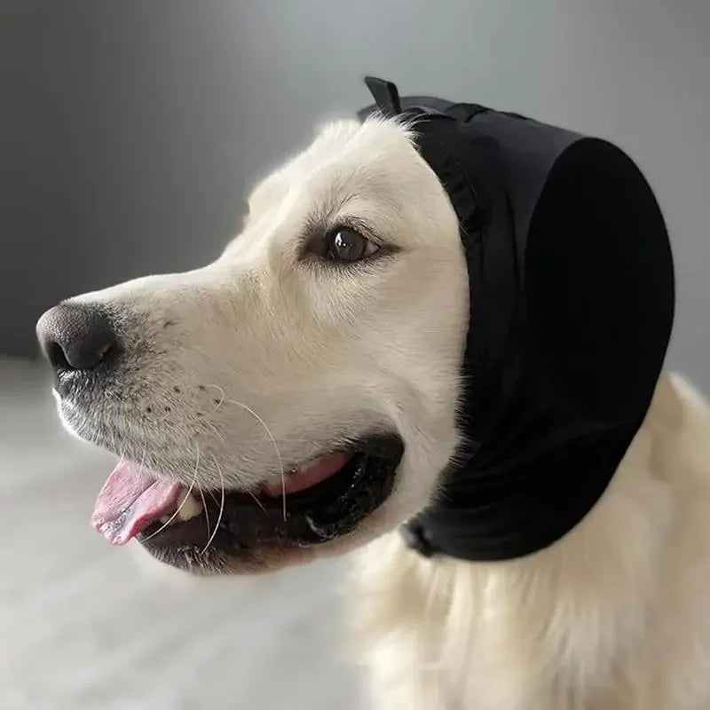 Noise Reducing Ear Protection for Dogs Protect Your Pet’s Ears from Loud Sounds