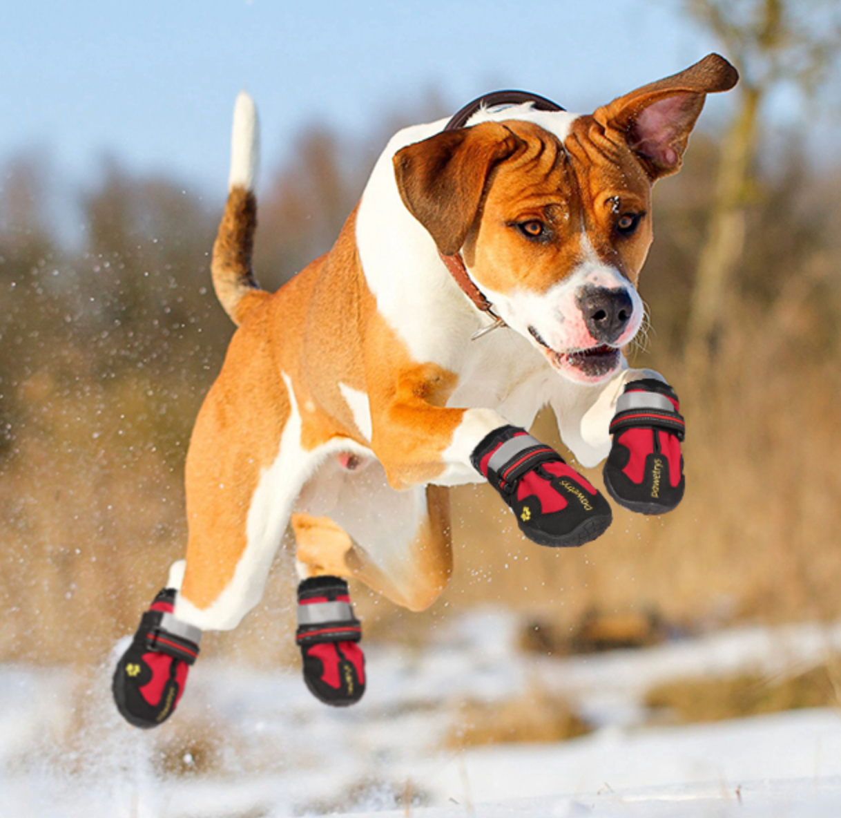 Non Slip Waterproof Dog Boots Paw Protection Shoes for All Weather Walking