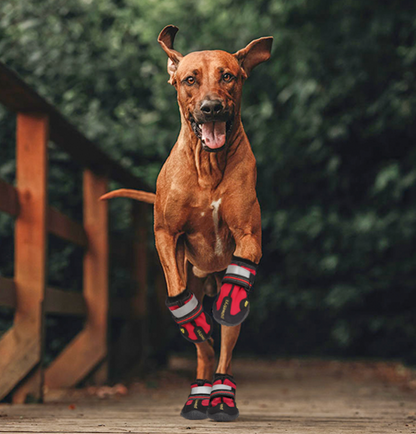 Non Slip Waterproof Dog Boots Paw Protection Shoes for All Weather Walking