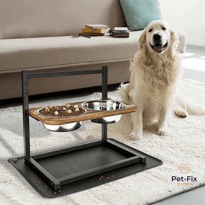 Premium Raised Dog Feeding Station Stainless Steel Bowls