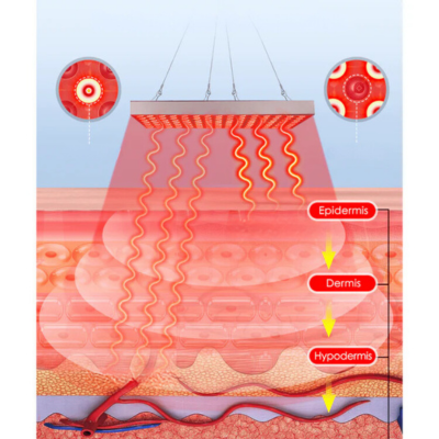 Red Infrared Light Therapy Lamp LED Skin Care Panel