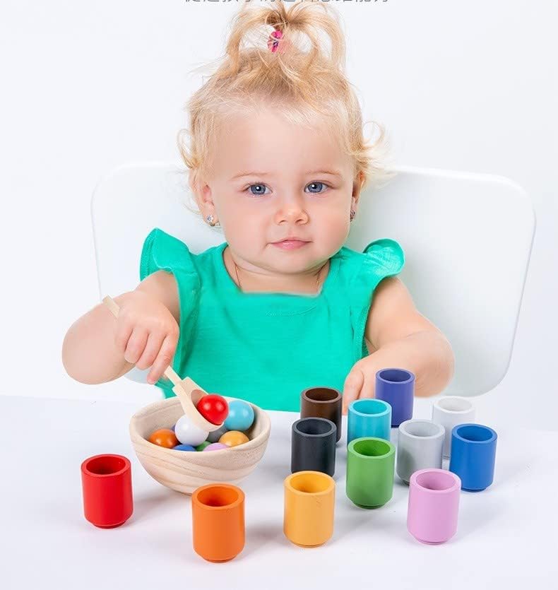 Shape Sorting Learning Game Motor Skills Development Toy