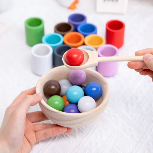 Shape Sorting Learning Game Motor Skills Development Toy