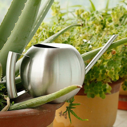 Slim Metal Watering Can with Precision Spout for Indoor Plants