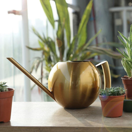 Slim Metal Watering Can with Precision Spout for Indoor Plants