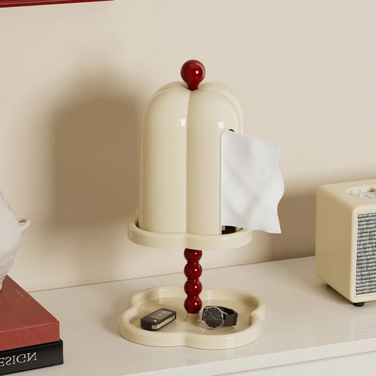 Tissue Box Cover with Hidden Storage Decorative Tissue Holder Organizer