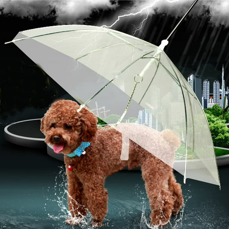 Transparent Dog Umbrella – Clear Rain Protection for Small & Medium Dogs
