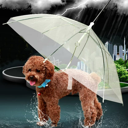 Transparent Dog Umbrella – Clear Rain Protection for Small & Medium Dogs