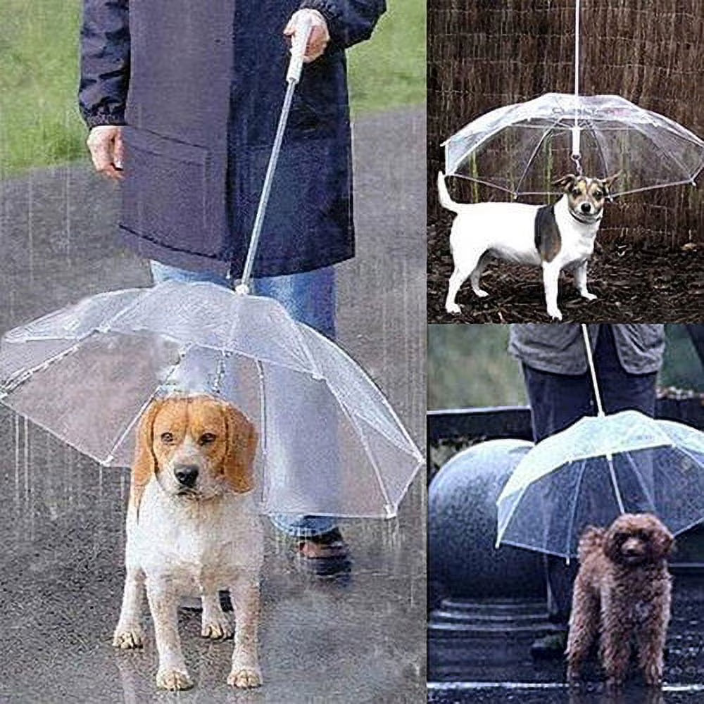 Transparent Dog Umbrella – Clear Rain Protection for Small & Medium Dogs