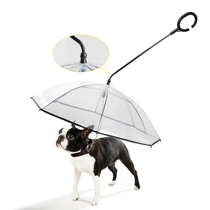 Transparent Dog Umbrella – Clear Rain Protection for Small & Medium Dogs
