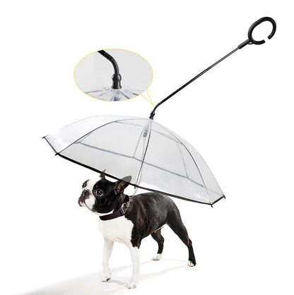 Transparent Dog Umbrella – Clear Rain Protection for Small & Medium Dogs