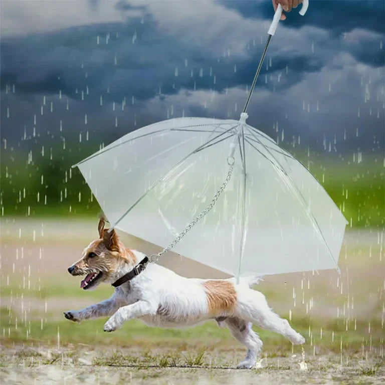 Transparent Dog Umbrella – Clear Rain Protection for Small & Medium Dogs