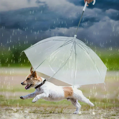 Transparent Dog Umbrella – Clear Rain Protection for Small & Medium Dogs