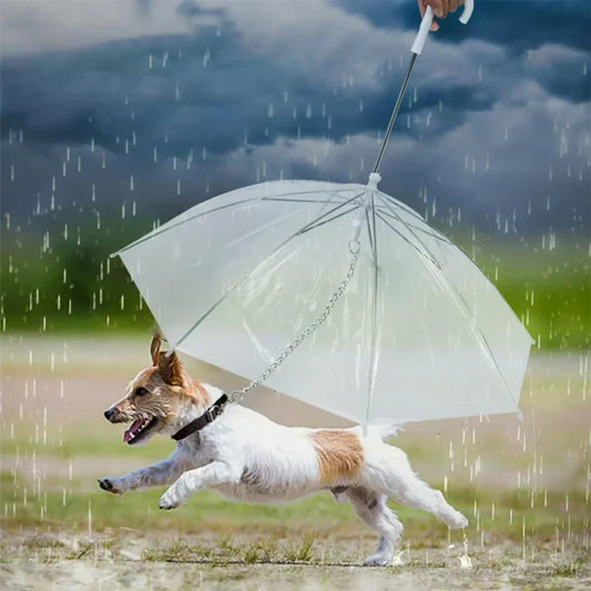 Transparent Dog Umbrella – Clear Rain Protection for Small & Medium Dogs